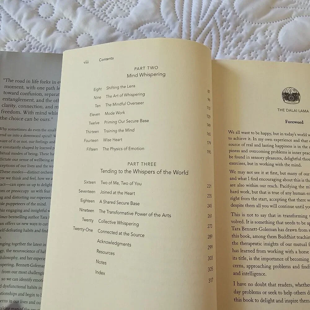 Mind Whispering: A New Map To Freedom From Self-Defeating Emotional Habits Book